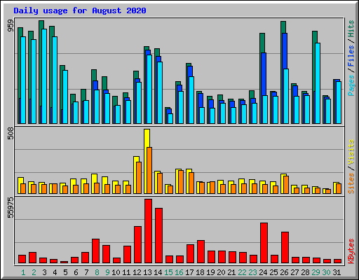 Daily usage for August 2020