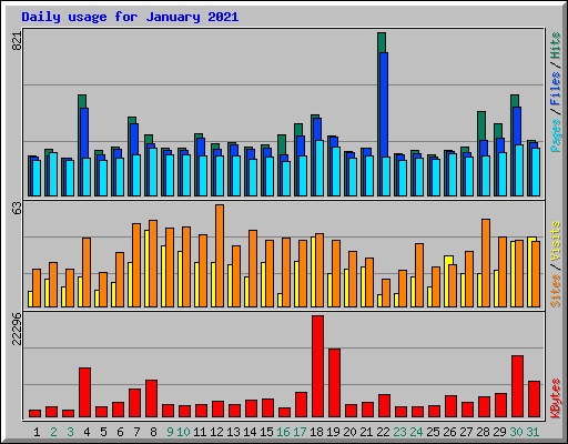 Daily usage for January 2021