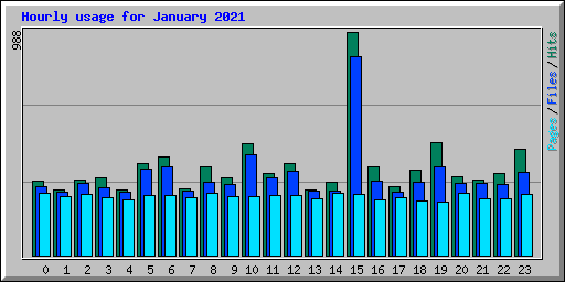 Hourly usage for January 2021