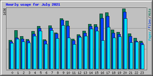 Hourly usage for July 2021