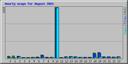 Hourly usage for August 2021