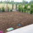 Vedi zoom